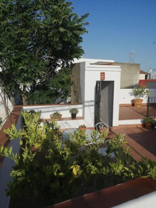 Apartamento El Sosiego 산루카데바라메다 외부 사진