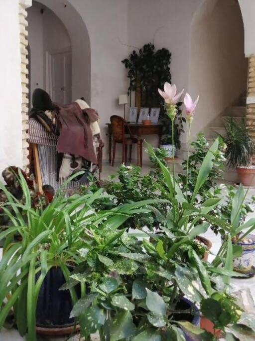Apartamento El Sosiego 산루카데바라메다 외부 사진